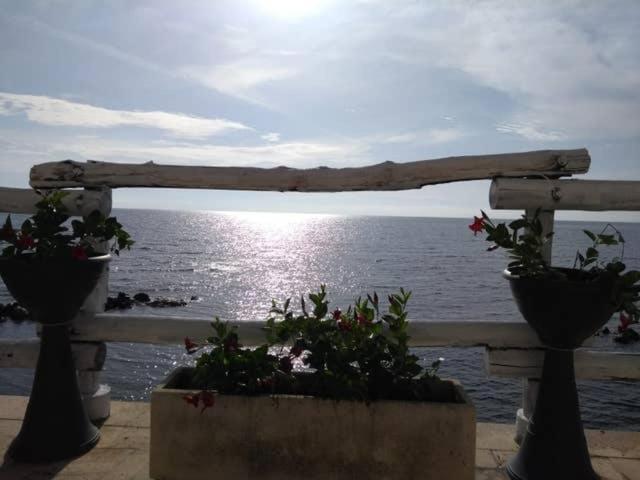 Al Chiaro Di Luna Resort 보르고판타노 외부 사진
